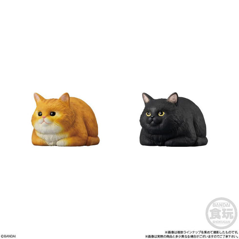 『ねこ』【食玩】もっちりころりん♪【BOX】